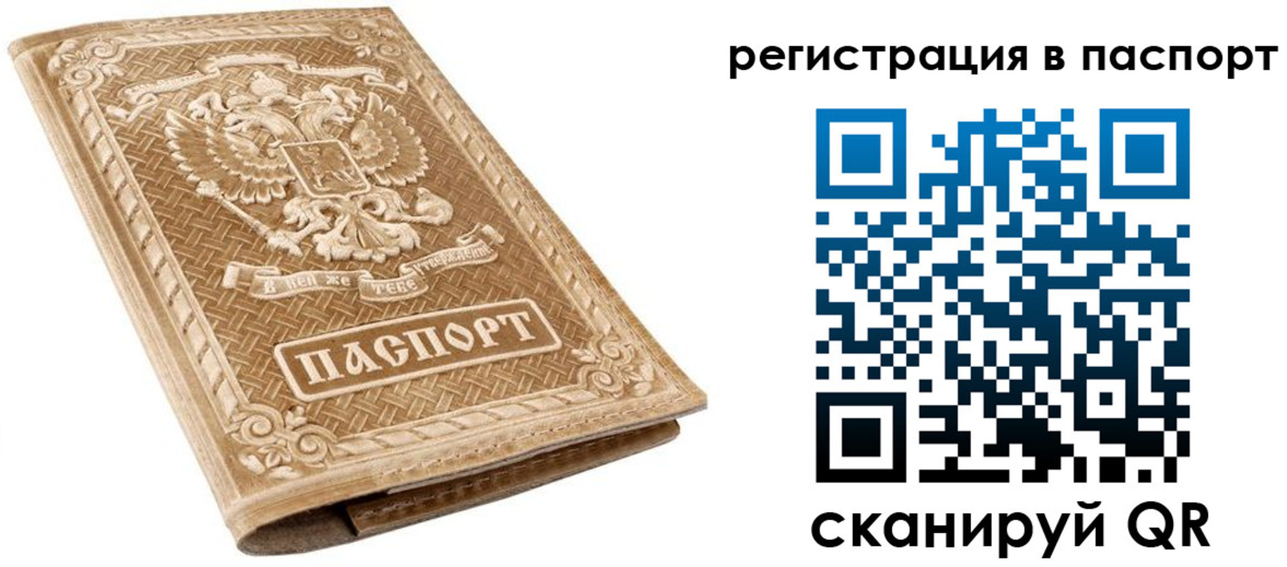 прописка в Липецкая области